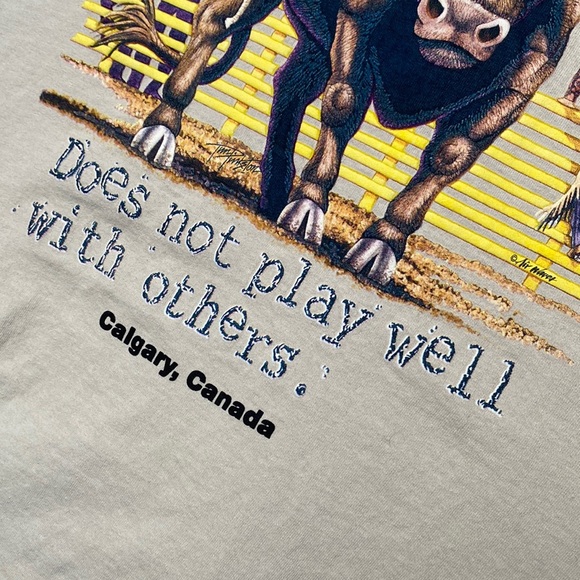 Calgary Rodeo Souvenir T-Shirt Men Large Beige Late 00s Graphic Bull Cowboys - Picture 6 of 12